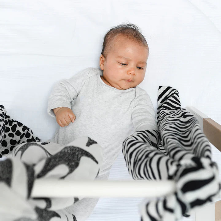 Etta Loves Animal Print Muslin 3-Pack - for newborn to 4 month old babies