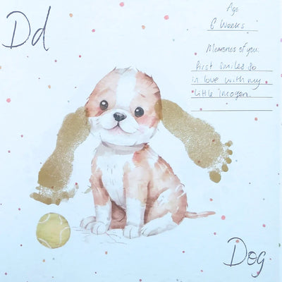 Little Paws Big Memories  ABC Animals Starter Kit