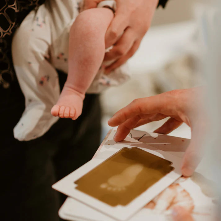 Little Paws Big Memories  ABC Animals Starter Kit