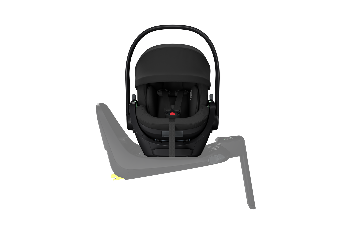 Thule Maple