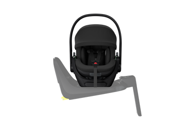 Thule Maple