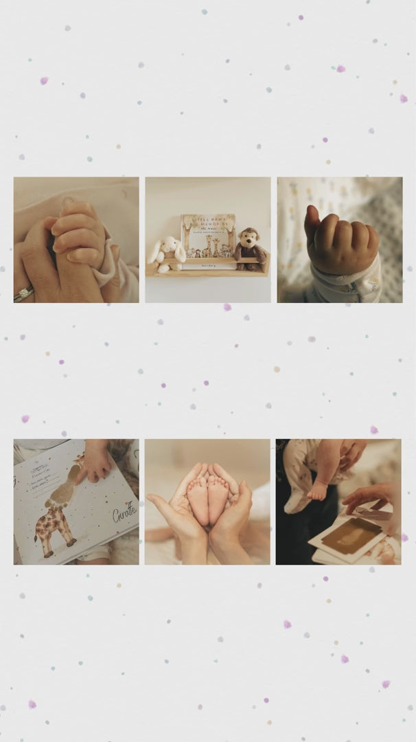 Little Paws Big Memories: ABC Animals