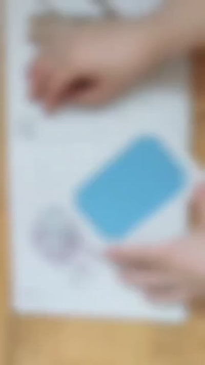 Little Paws Big Memories: ABC Animals