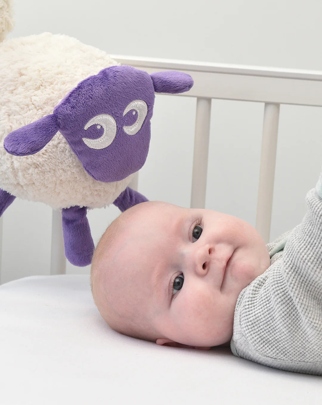 Sweet Dreamers Ewan the Dream Sheep - Purple